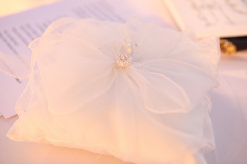 nivo slider image